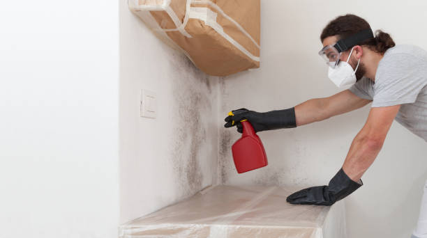 Professional Mold Remediation technician working in Lewisville, TX