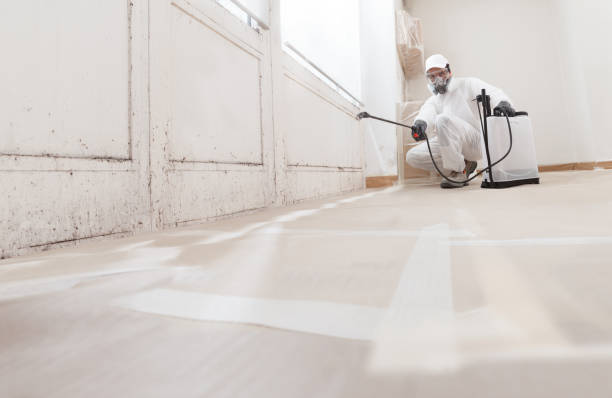 24/7 Emergency Mold Remediation experts in Lewisville, TX