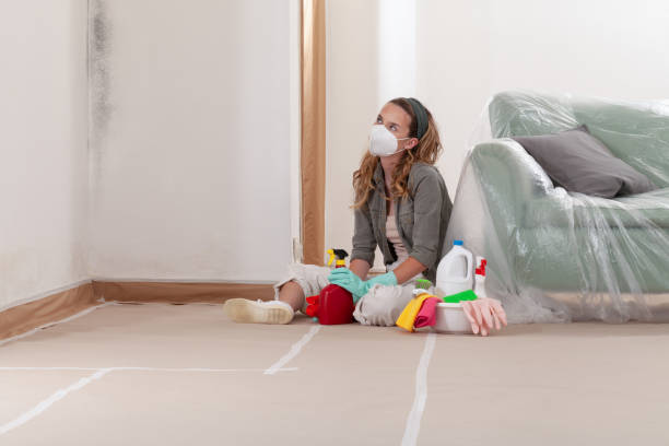 Reliable Mold Remediation contractor in Lewisville, TX by WQB Mold Removal
